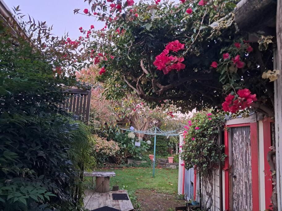 Secret Cottage Waitara Exterior foto