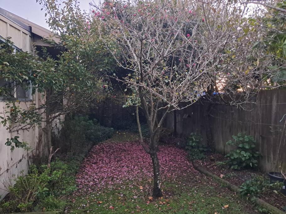 Secret Cottage Waitara Exterior foto