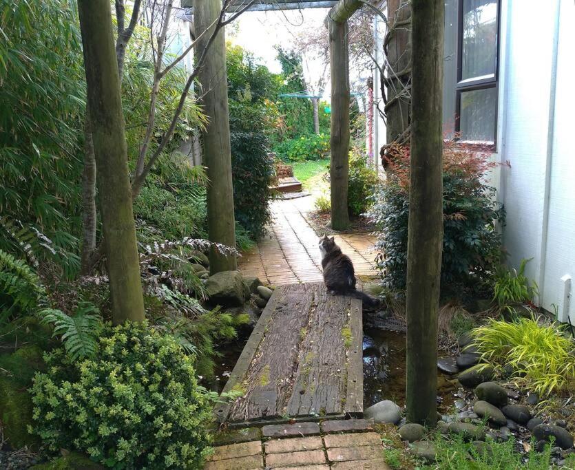 Secret Cottage Waitara Exterior foto